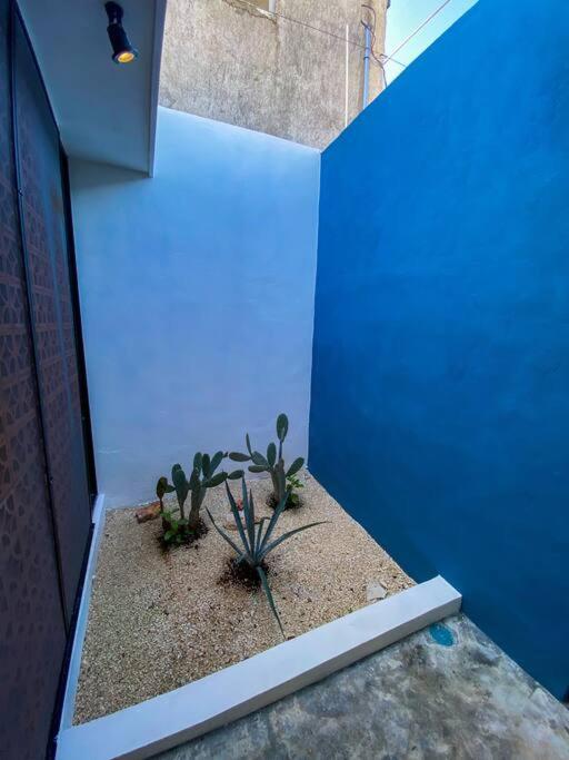 Modern Casa With Pool 7 Mins From Centro 5Min La Plancha Park Villa Merida Exterior photo